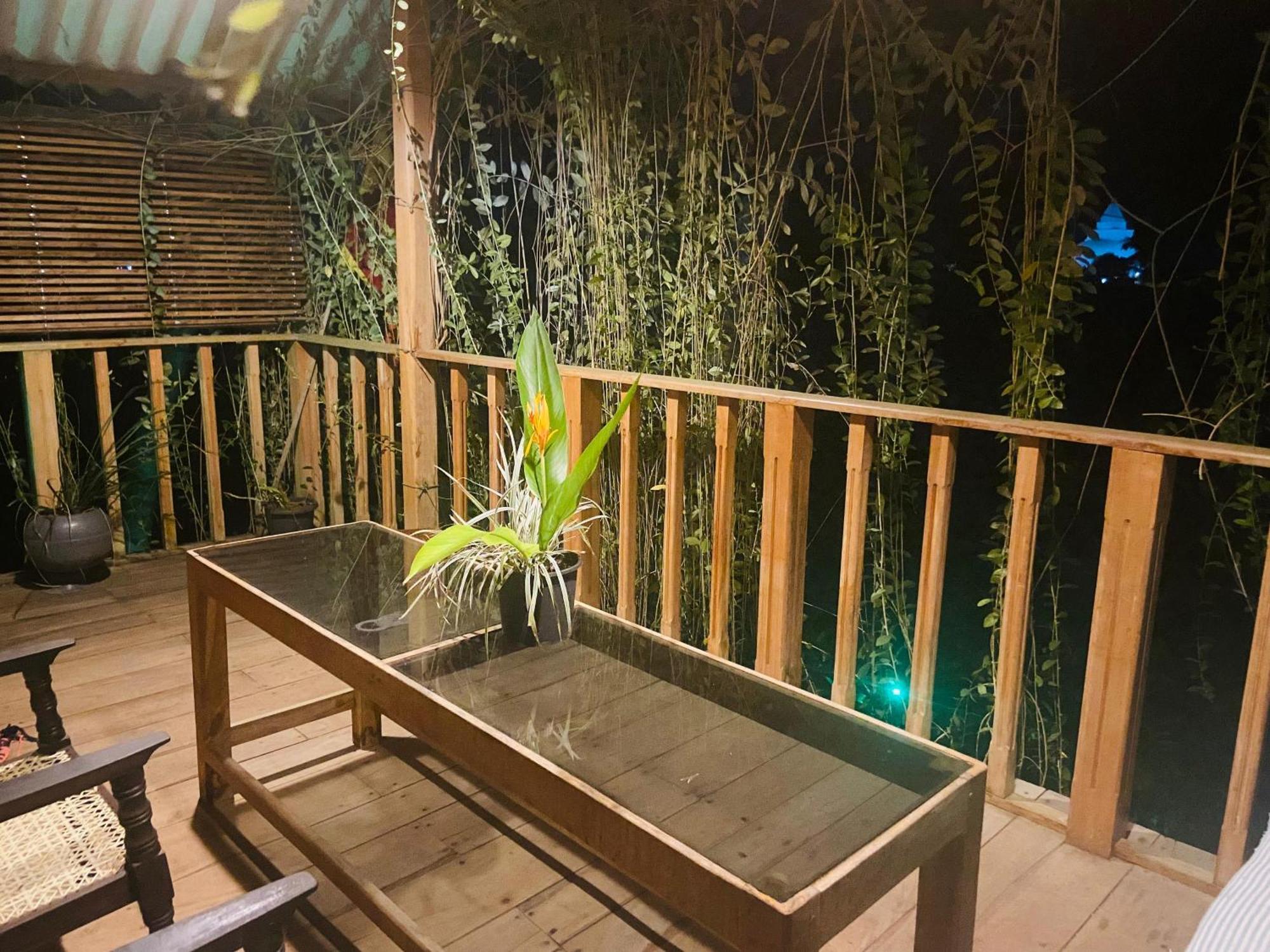Coconut Island Yala Safari Place Tissamaharama Exterior foto